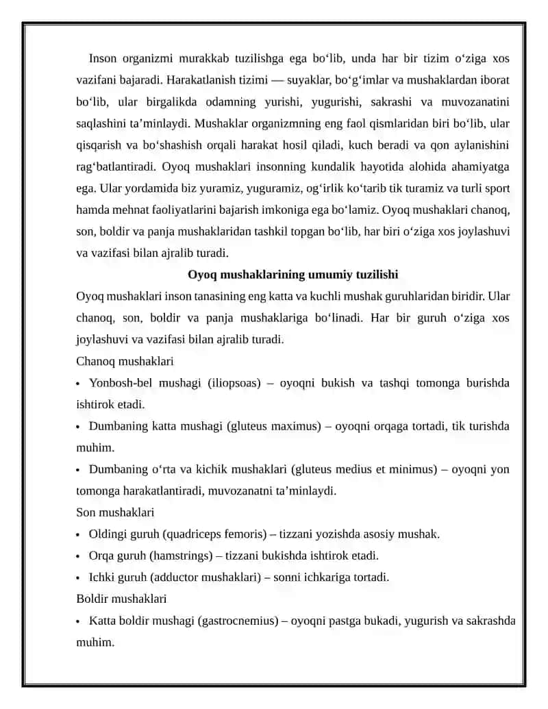 Oyoq mushaklari tuzilishi joylashuvi vazifalari 3