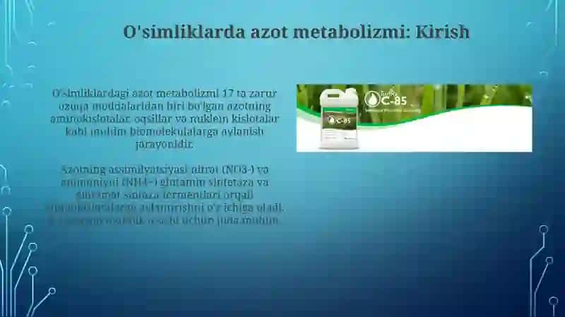O'simliklarda azot almashinishi va ularning tasiri 3