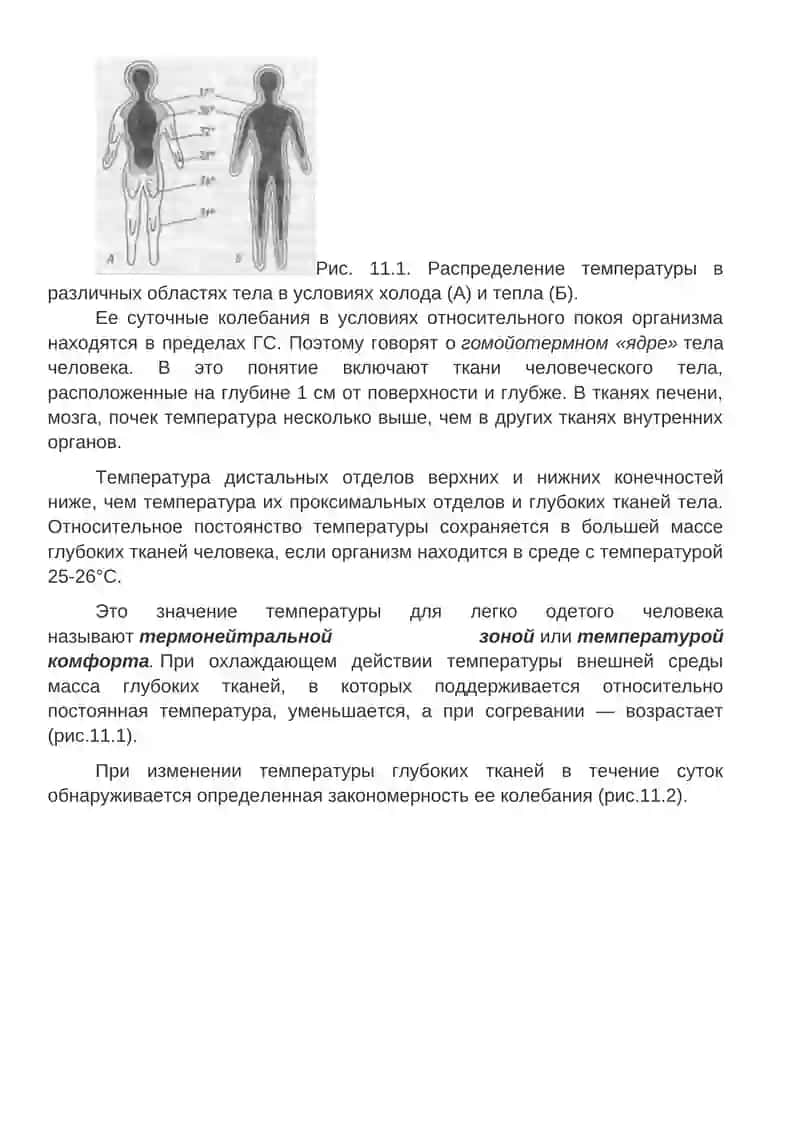 Теплообразования в организме 3