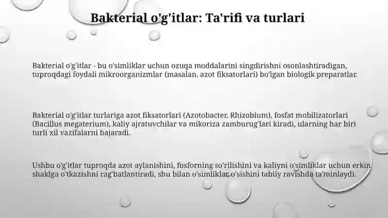 Bakterial o'g'itlar va ularning qo'llanilishi 3