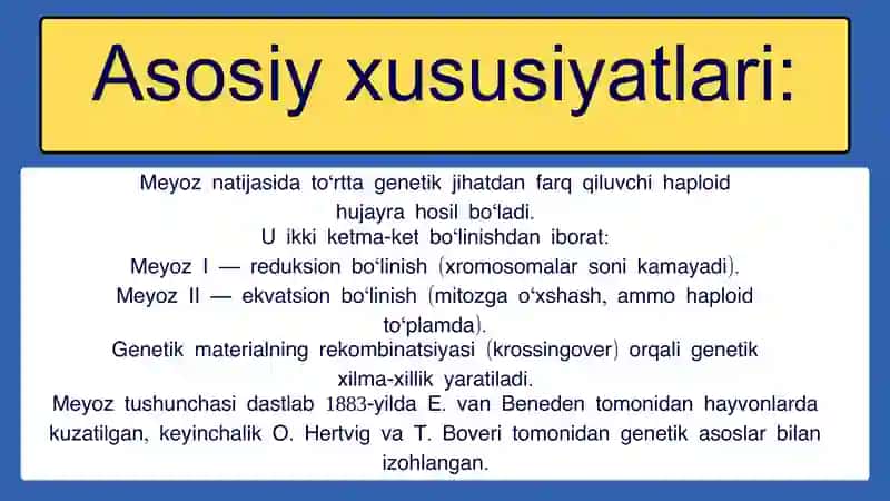 MEYOZ BO‘LINISHNING BIOLOGIK AHAMIYATI 3