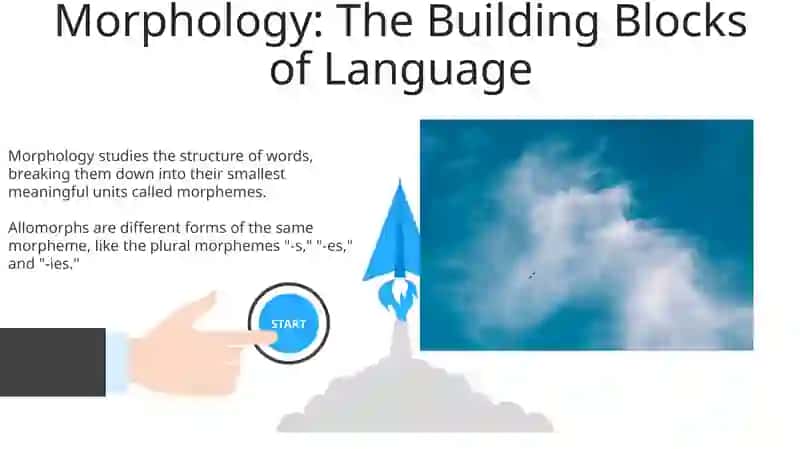 Morpheme Structure in Linguistics 3