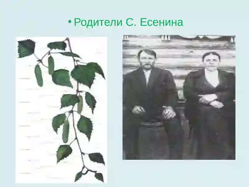 С.А. ЕСЕНИН 3
