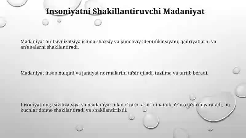 Insoniyat, Madaniyat va Tsivilizatsiyani O'rganish 3