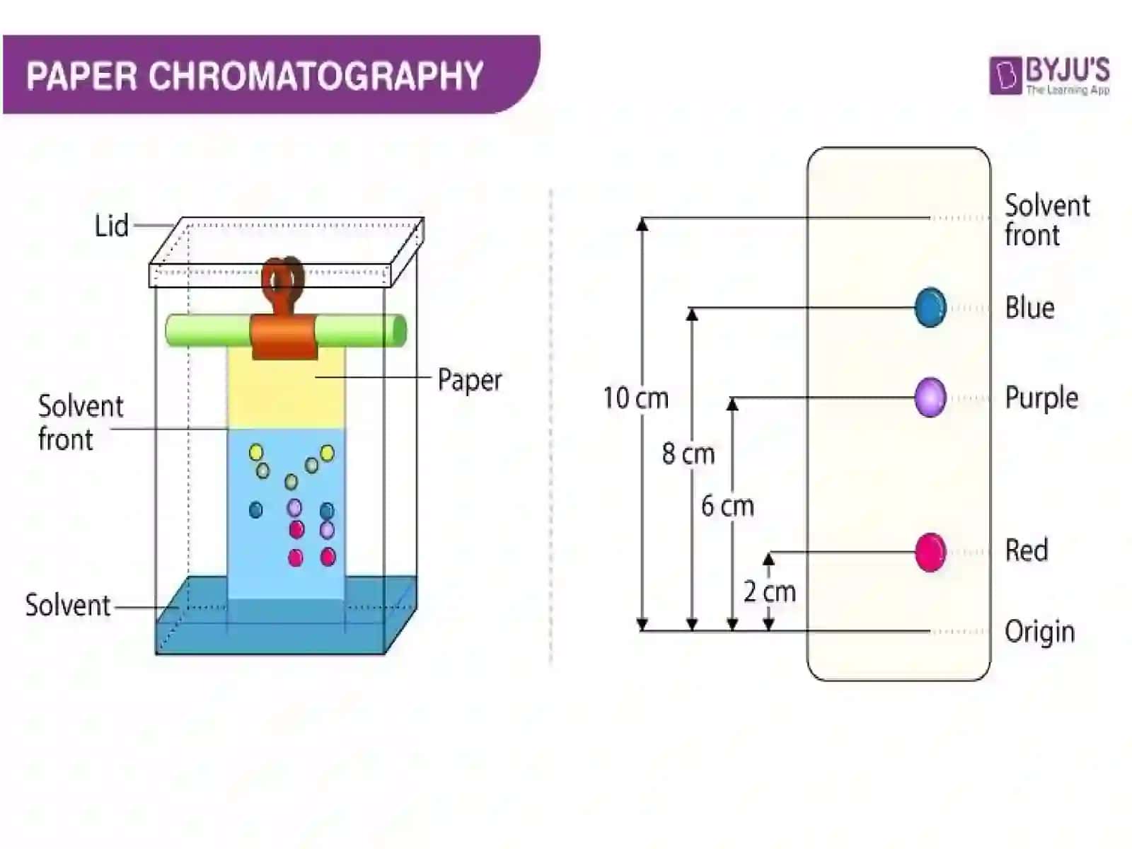 Qog‘ozxromotografiyasi 3