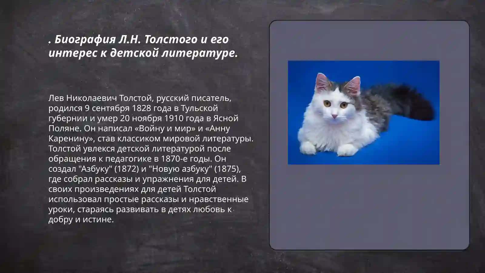 Вклад Л.Н.Толстого в развитие детской русской литературы 3