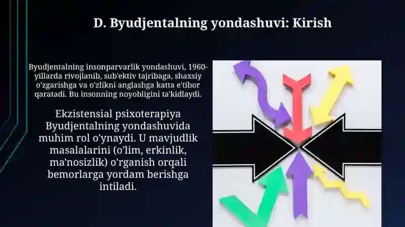 D. Byudjental yondashuvi 3