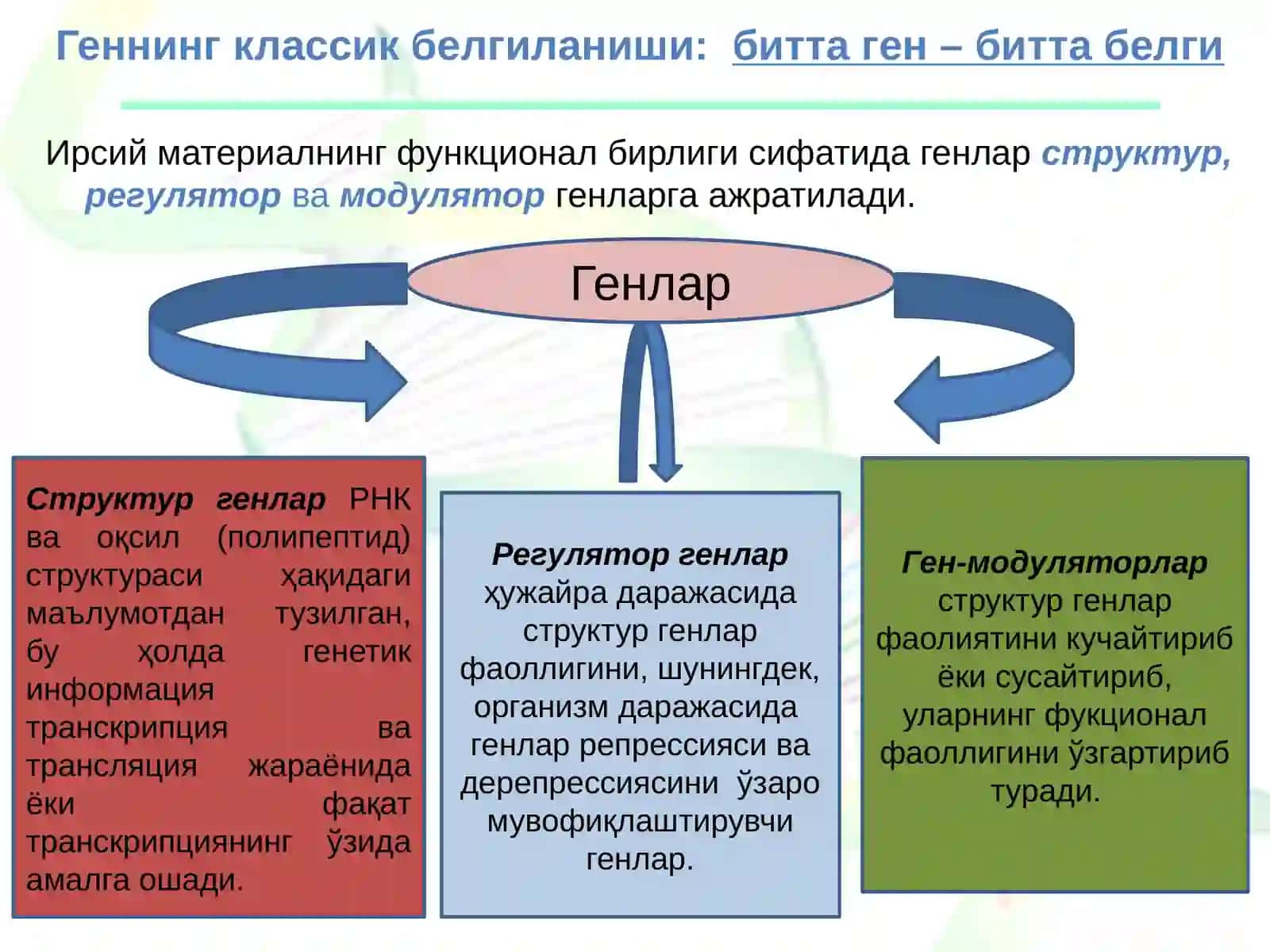 Ген,геном,геномлар хилма-хиллиги 3