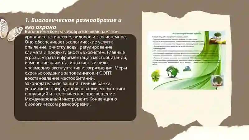 Охрана окружающей среды. Проблемы экологии. Растительный и животный мир 3