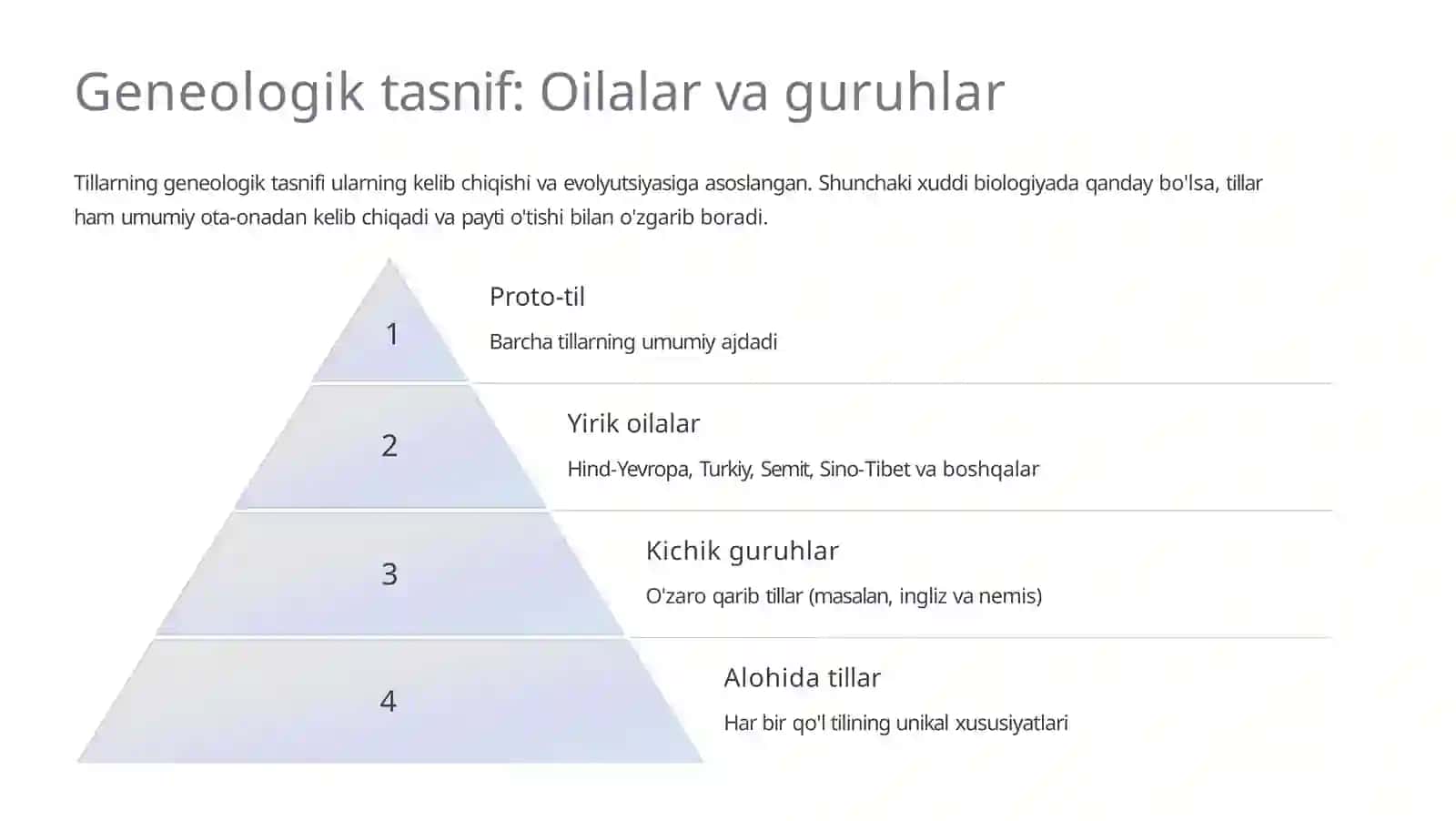 Dunyo tillari tavsifi 3