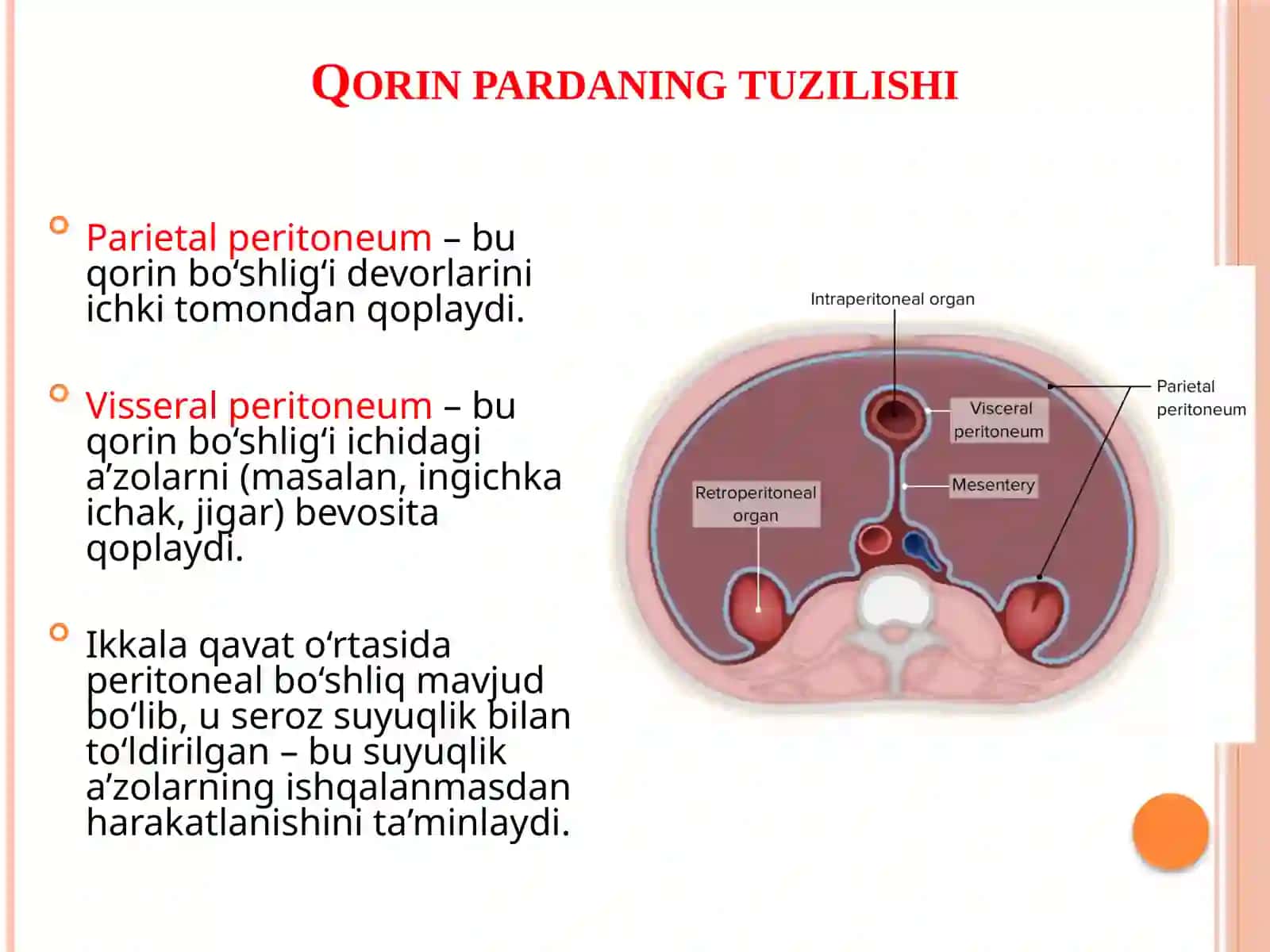 Qorinparda 3