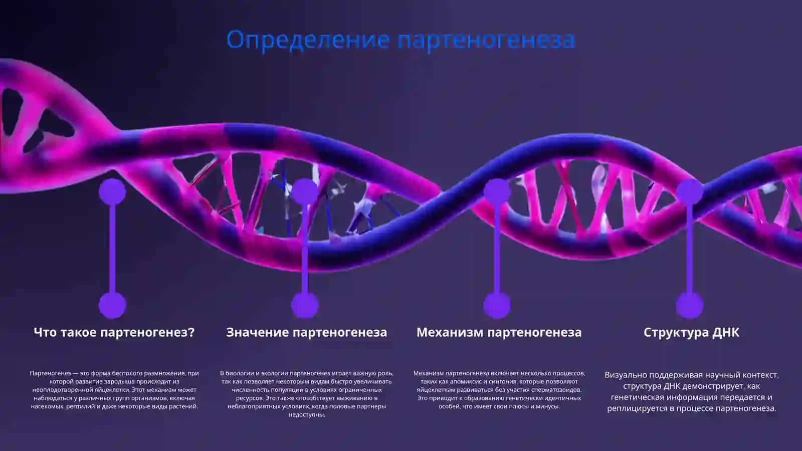 Партеногенез и его виды 3