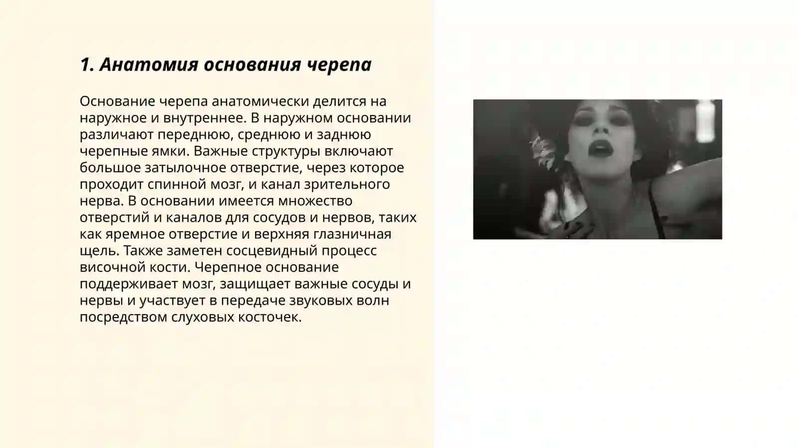 Основание черепа 3