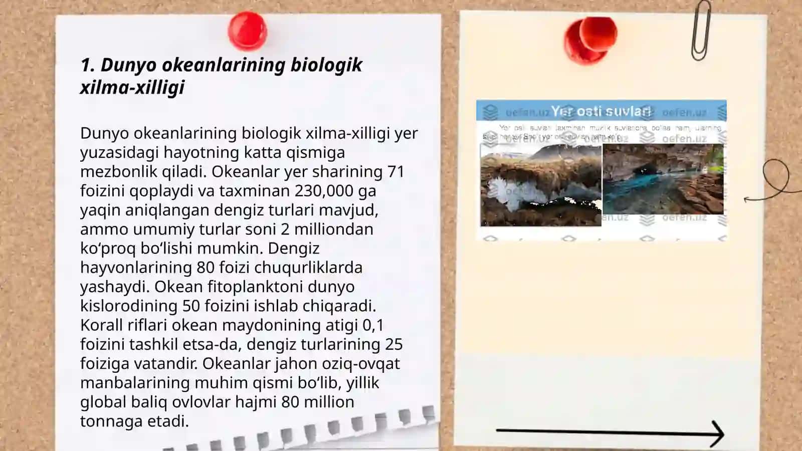 Dunyo okeani biomlari 3