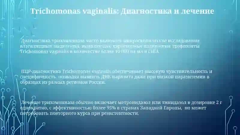 Сравнительный анализ 3