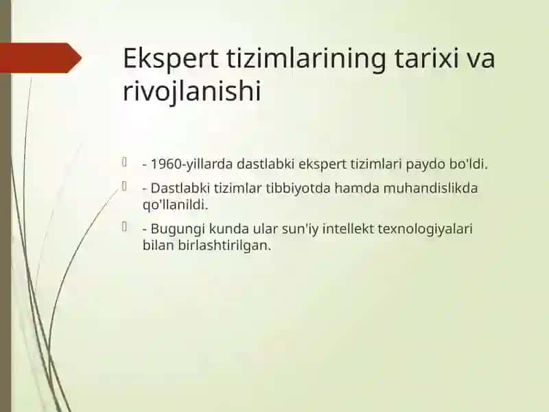 Ekspert tizimi 3