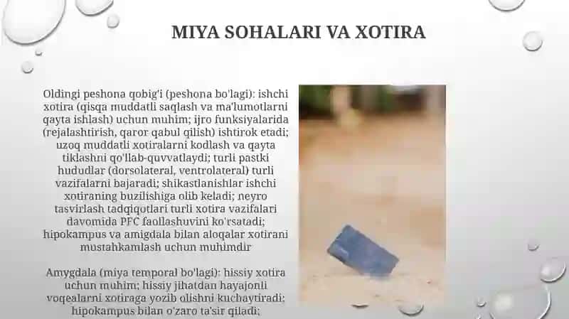 Idrok vz xotira haqida tushuncha 3