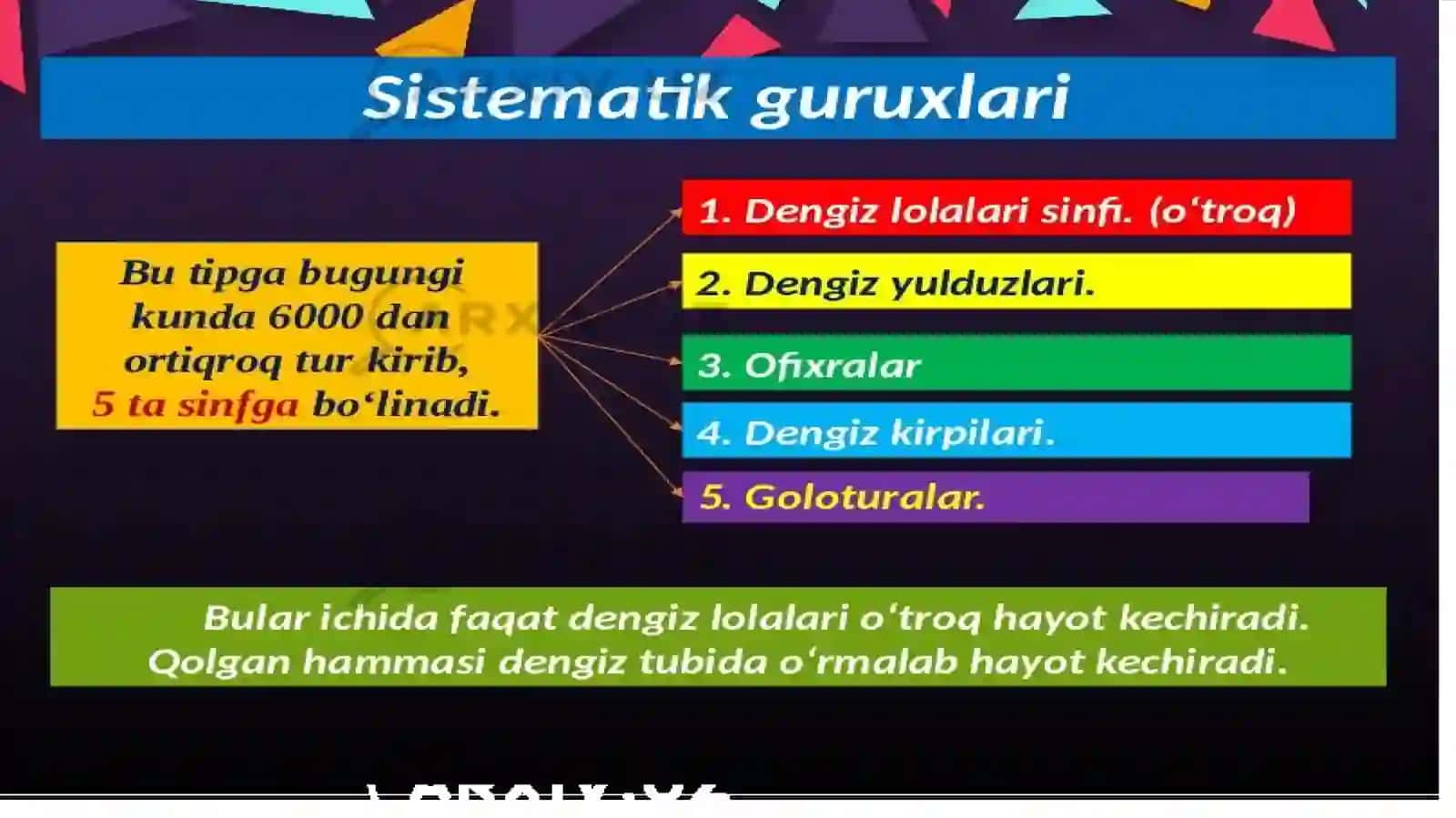 IGNATANLILARDENGIZYULDUZLILARI SINFI 3