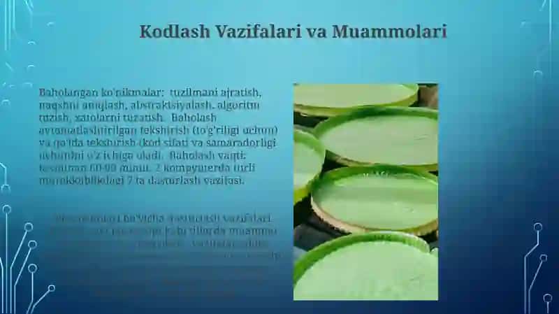 PISAxalqarobaholashdasturidabaholash(kodlash)jarayoni 3