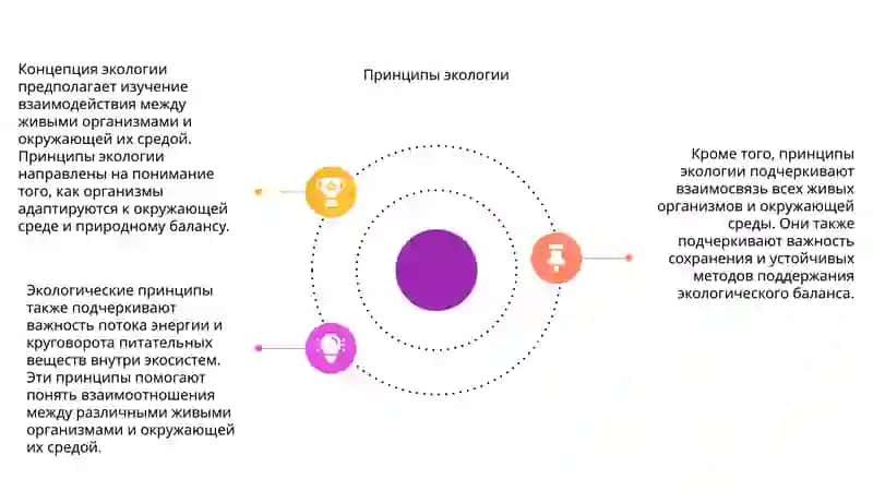 Понятие об екологии 3
