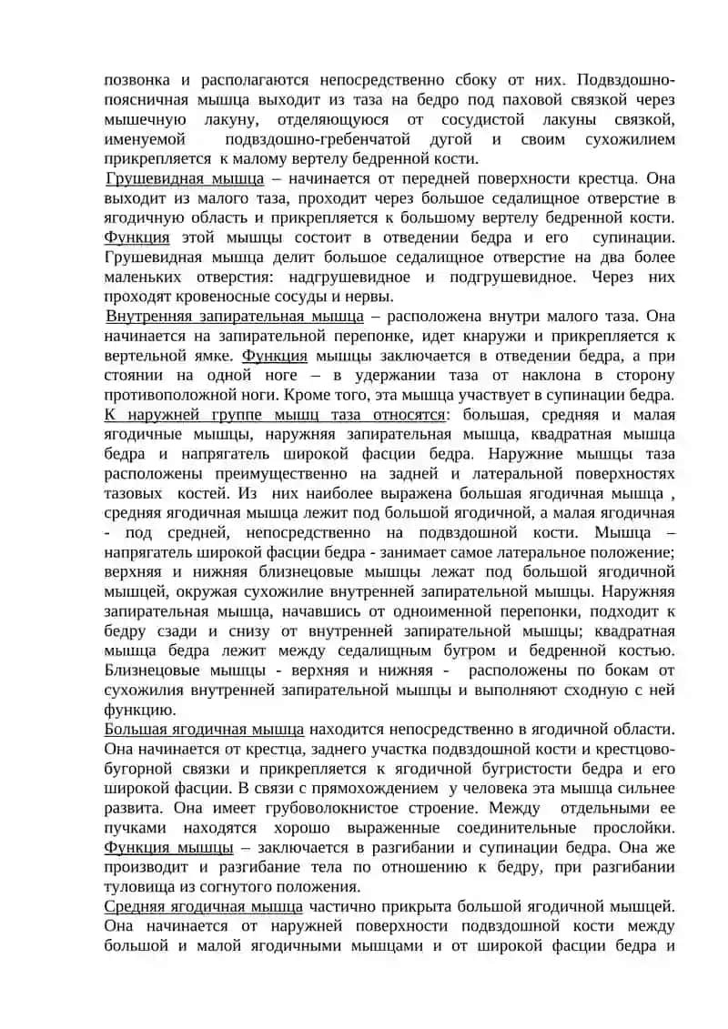 Миология 3