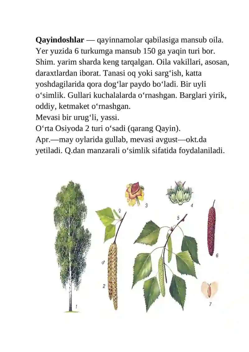 Qayindoshlar oilasi 3