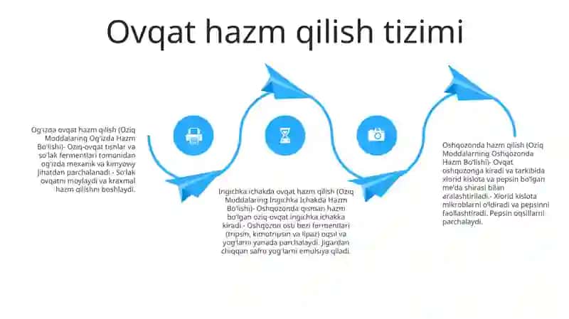 Oziq Moddalarning Inson Organizmida Hazm Bo‘Lishi 3