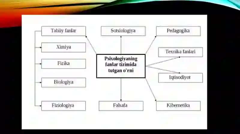 MAXSUS PEDAGOGIKA 3