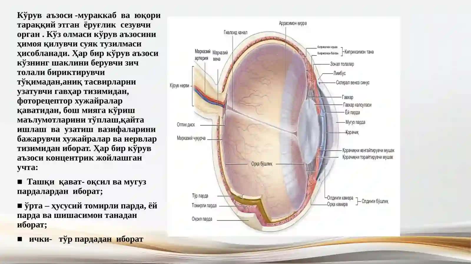 хамширалик иши фаидан Сезги азолари 3