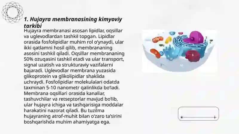Hujayra membranasining tuzulishi 3