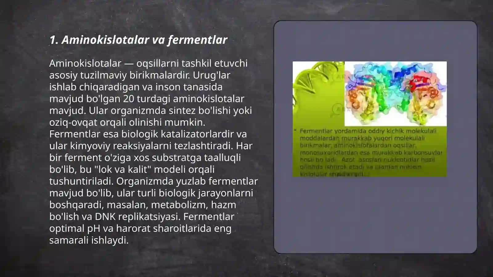 Aminokislotalar va fermentlar 3