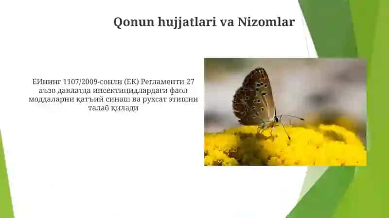 Parazitlik qiluvchi hasharotlar 3