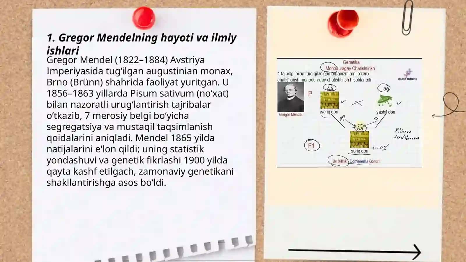 Mendel qonunlari va ularning zamonaviy talqini 3