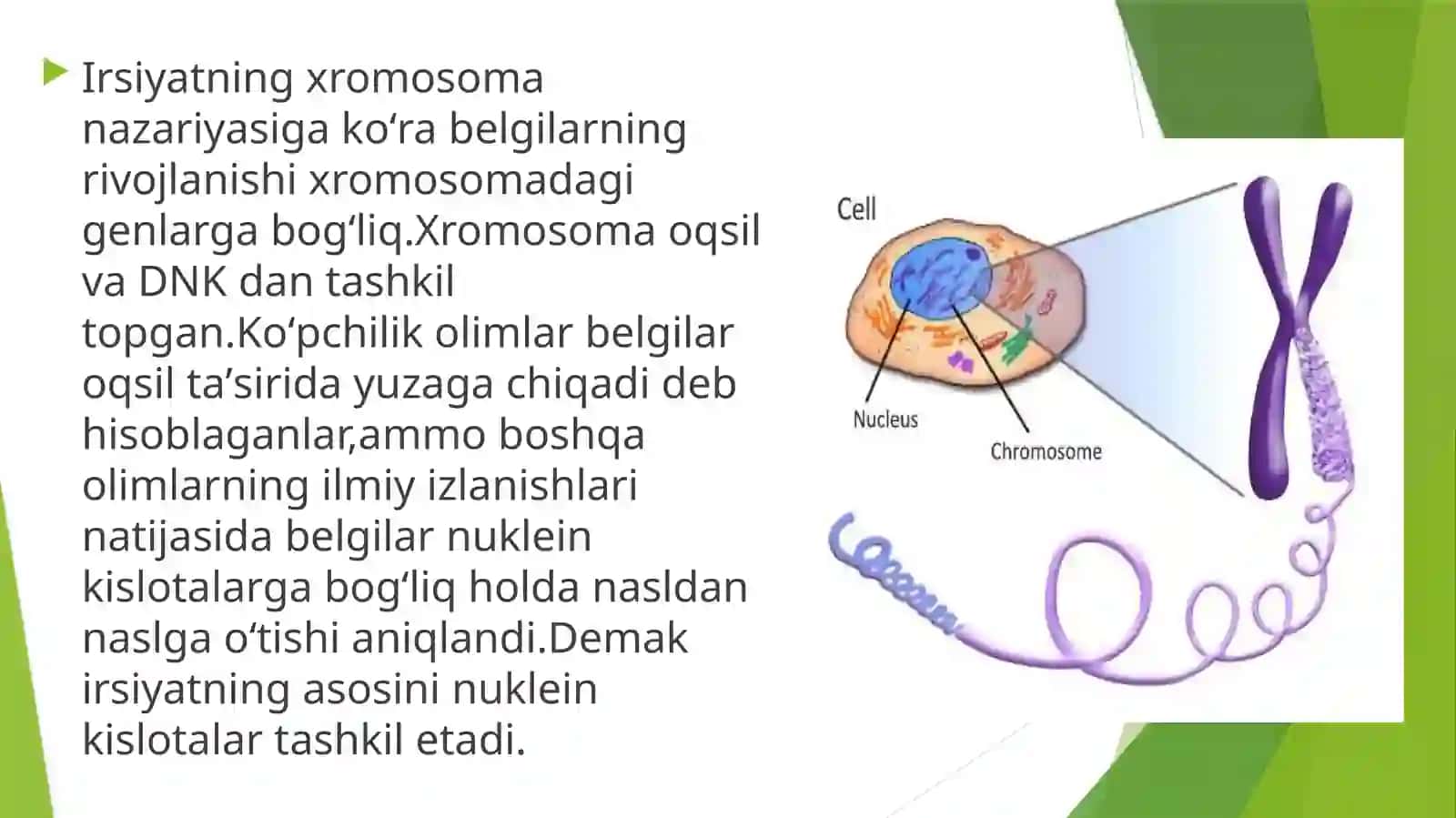 Tiriklikning molekulya rasoslari 3
