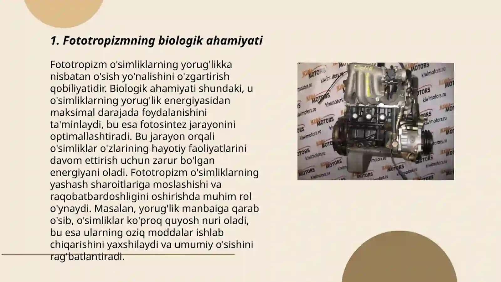 Fototropizmning biologik ahamiyati 3