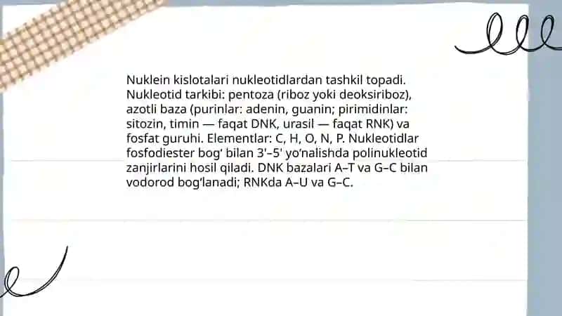 Nuklein kislotalari 3