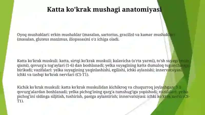 Oyoq va Ko'krak Muskullari 3