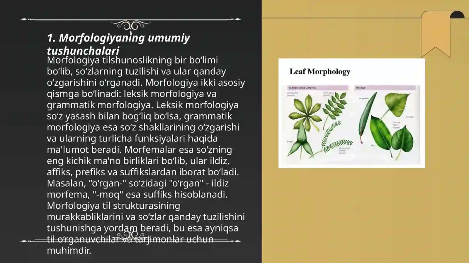 Arpa morfologiyasi 3