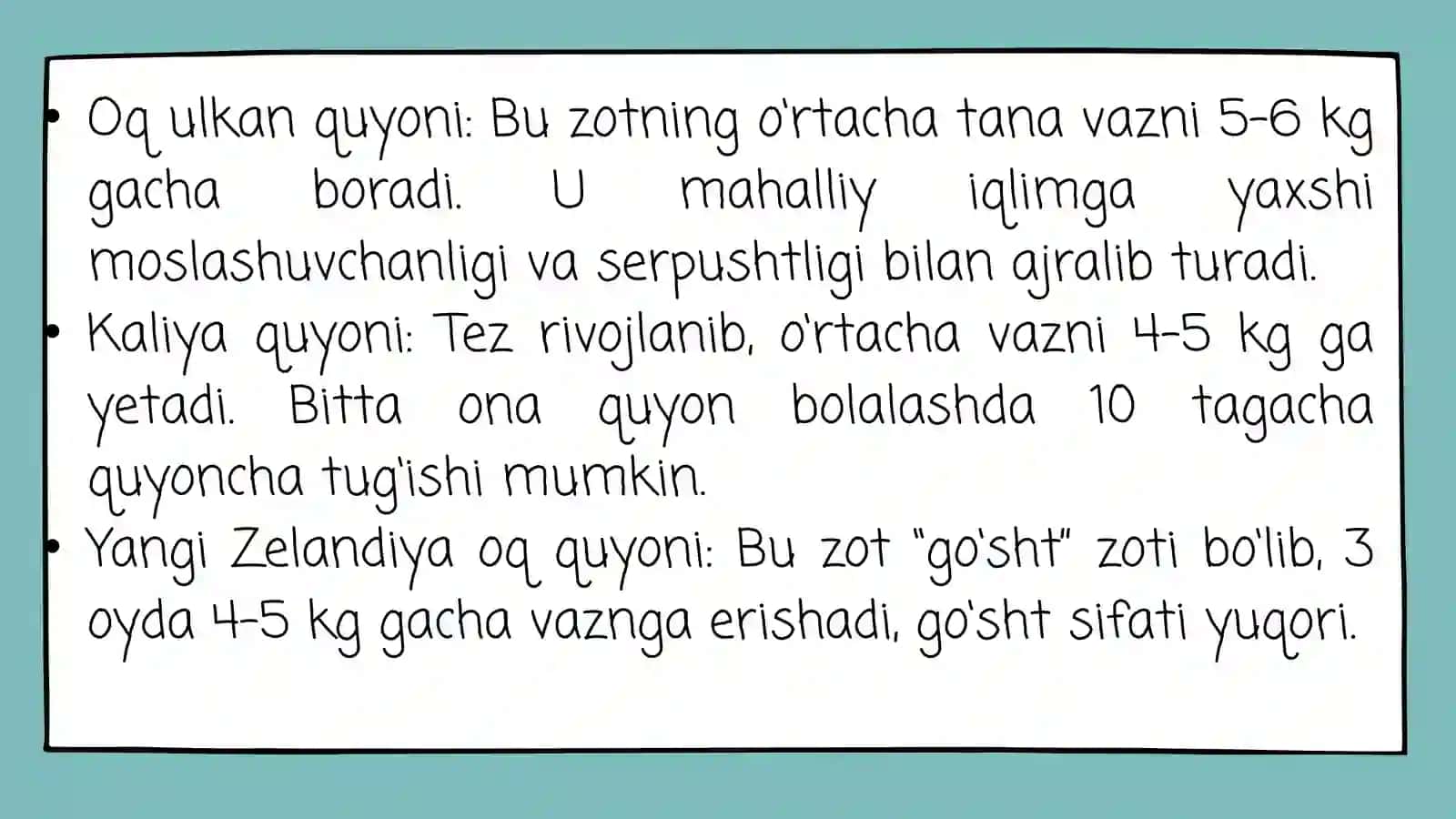 Quyonchilik biznesi 3