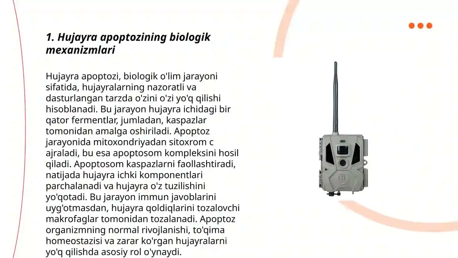 Hujayra appoptozi va gistologik ahamiyati 3