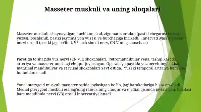 Yuzning yon sohasi chuqur qavatlarining klinik anatomiyasi 3