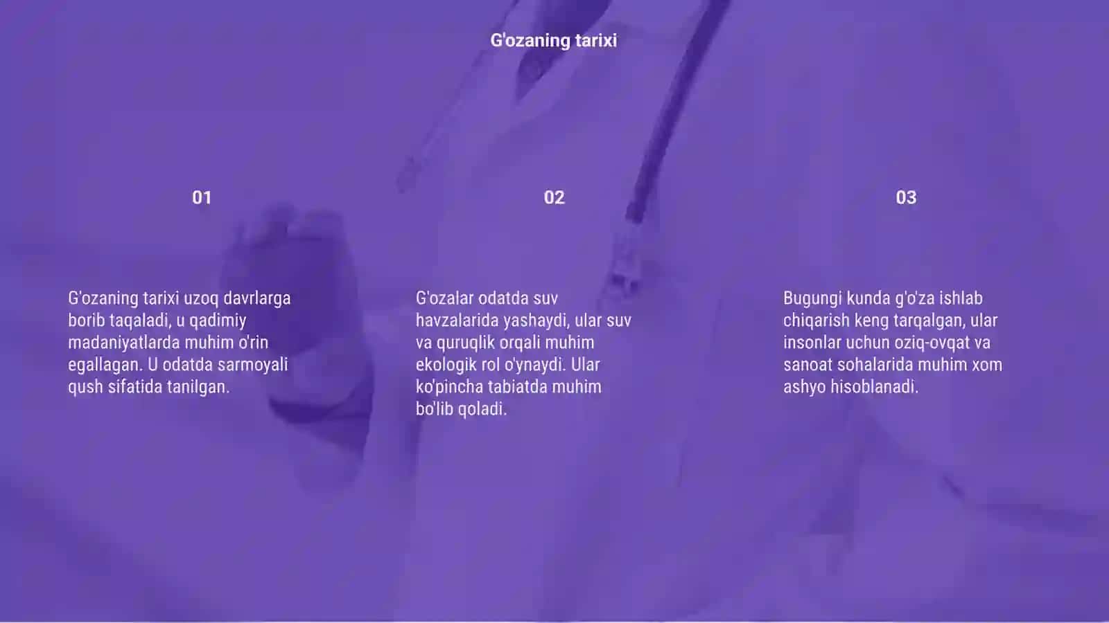G'o'za haqida 3