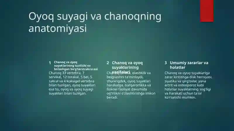 Chanoq va oyoq suyaklarining anatomiyasi 3