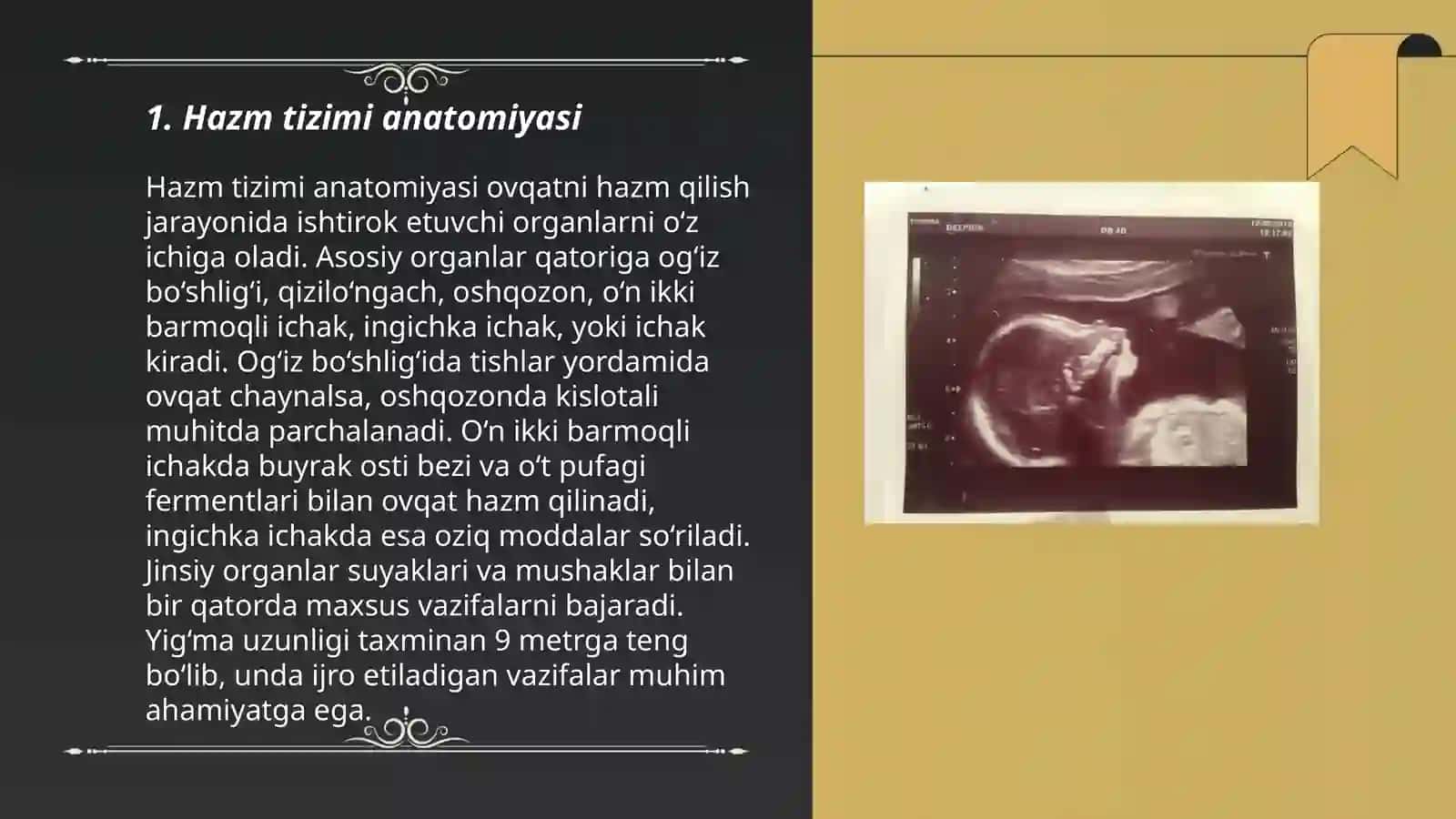 Hazm tizimi anatomiyasi 3
