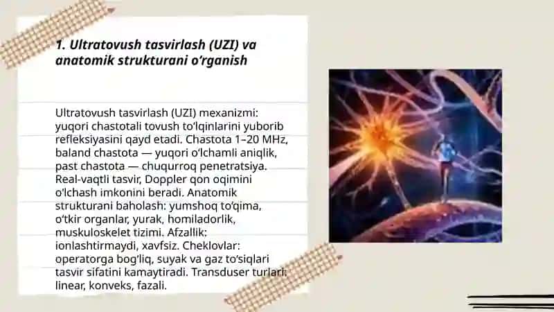 Anatomiya: Anatomiyada biofizik usullar 3