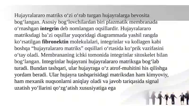 Hujayra va Hujayradan Tashqari Matriks Orasidagi Munosabatlar 3