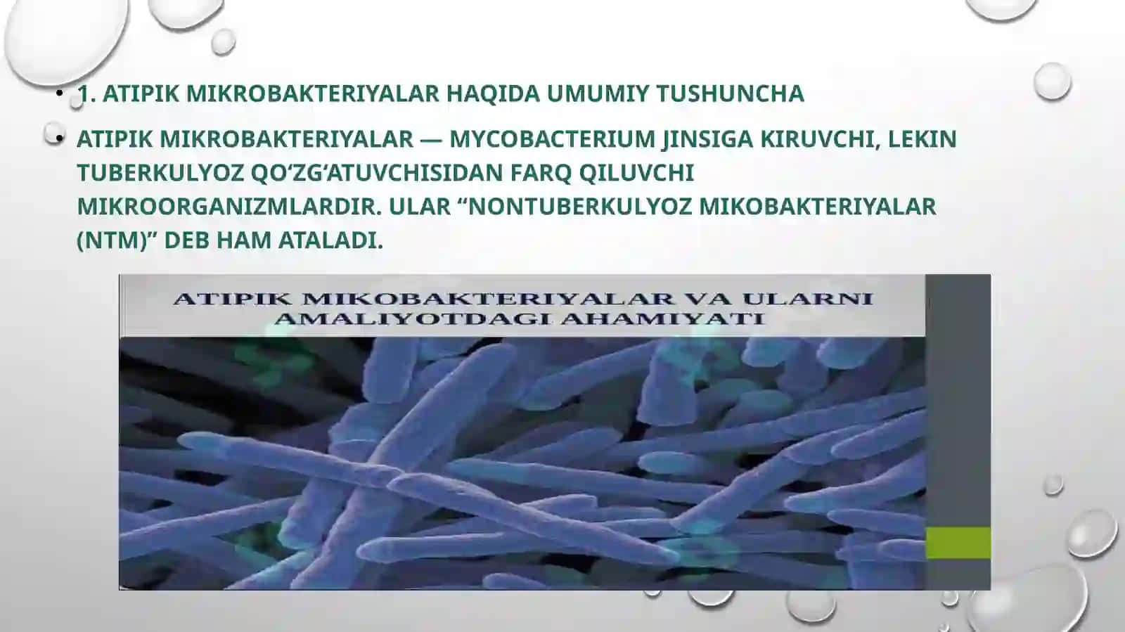 Atipik mikrobakteriyalar va ularning amaliyotdagi ahamiyati 3