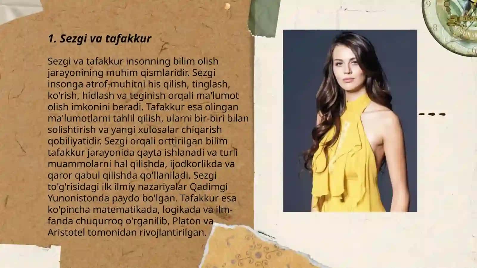 Sezgi 3