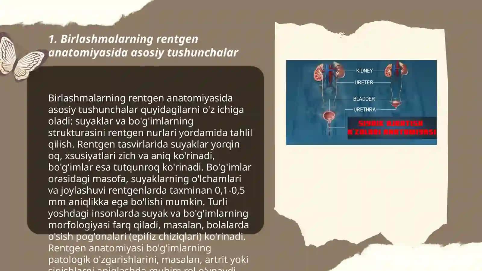 Birlashmalarning rentgen anatomiyasi 3