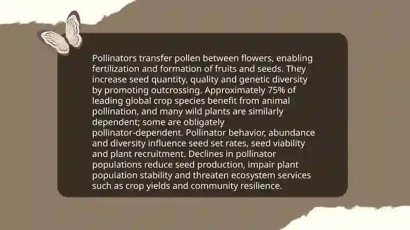 Understanding the role of pollinators in our ecosystem 3